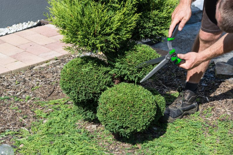 Contact About Shrub Maintenance