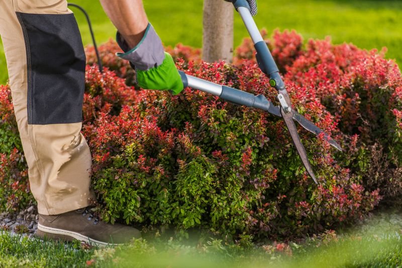 Shrub Maintenance