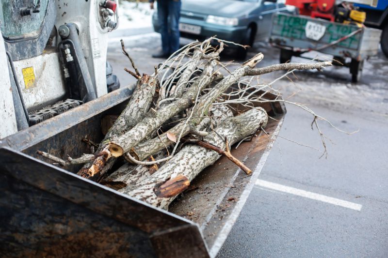 Deadwood Removal in Pottstown, PA