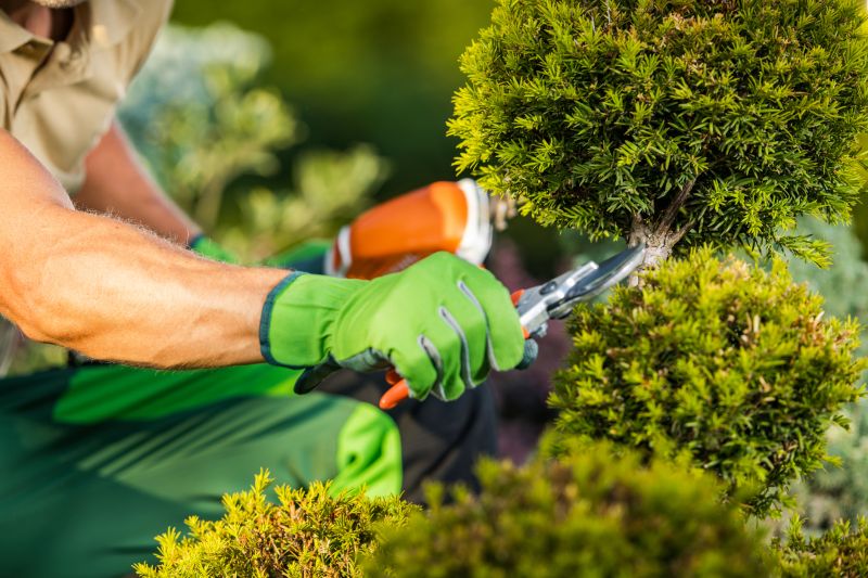 Shrub Maintenance detail