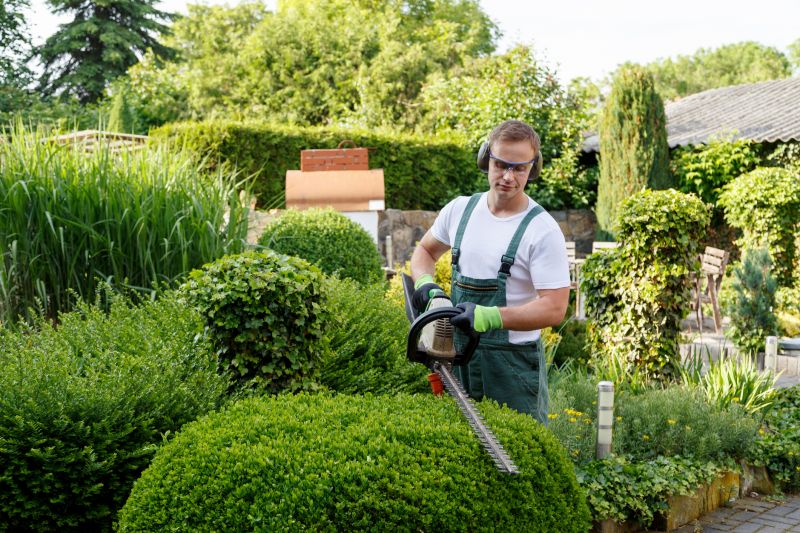 Shrub Maintenance detail