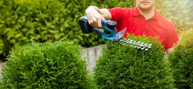 Hedge Shaping Service in Aiken, SC