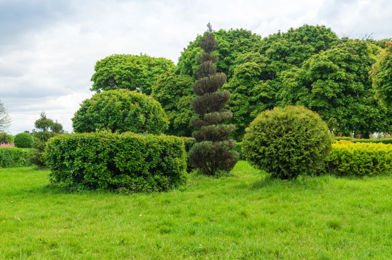 Shrubs Removal in Rockwall, TX